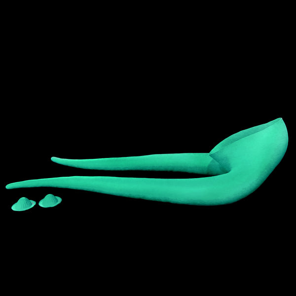 Numa Style Lekku - Flesh Tone or Custom Color